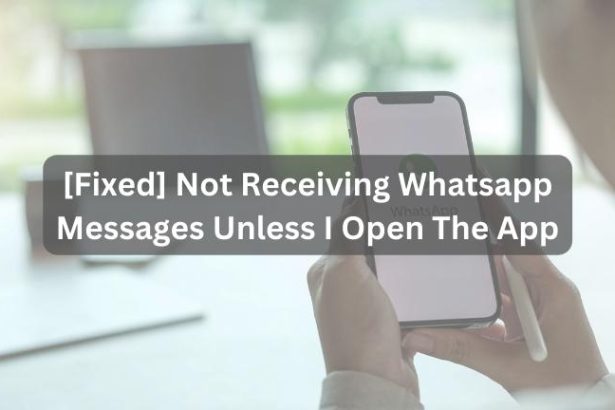 Not Receiving Whatsapp Messages Unless I Open The App