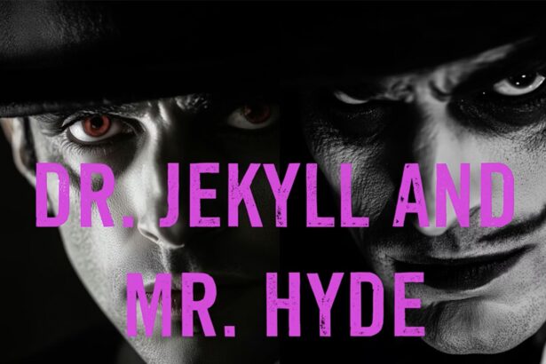 Hiding behind an alter ego leadership concept