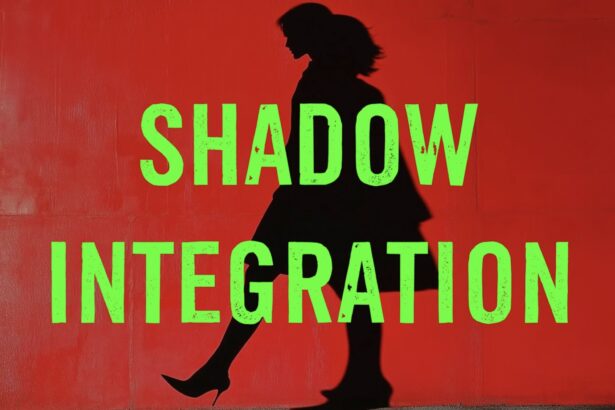 Shadow integration and leadership self-awareness